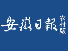 安徽日报登报挂失_安徽日报遗失登报、登报声明
