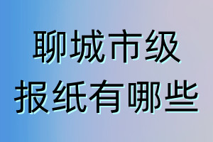 聊城市级报纸有哪些