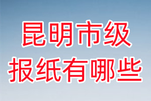 昆明市级报纸有哪些